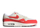 Nike Air Max 1 .SWOOSH Low Poly
