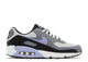 Nike Air Max 90 Photon Dust Light Thistle