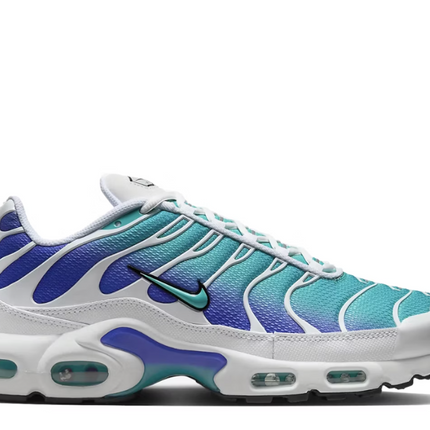 Nike Air Max Plus Aqua