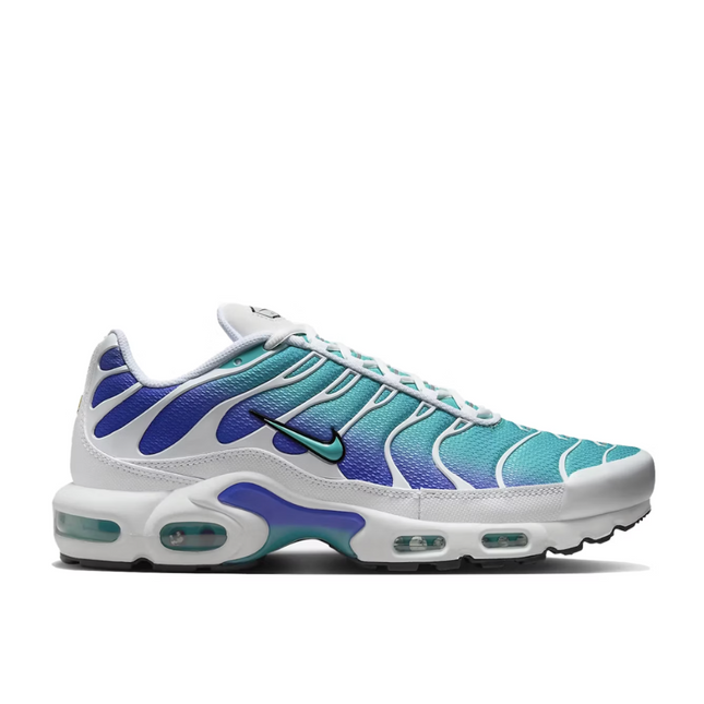 Nike Air Max Plus Aqua