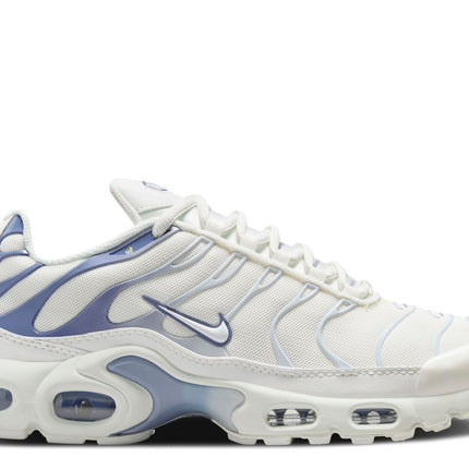 Nike Air Max Plus Pizarra cenicienta