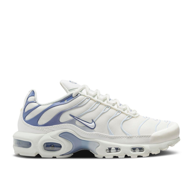 Nike Air Max Plus Ashen Slate