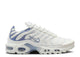 Nike Air Max Plus Ashen Slate
