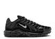 Nike Air Max Plus Black Chrome