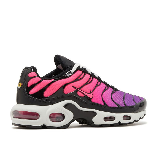 Nike Air Max Plus Anochecer