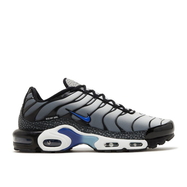 Nike Air Max Plus Kiss My Airs Metallic Silver