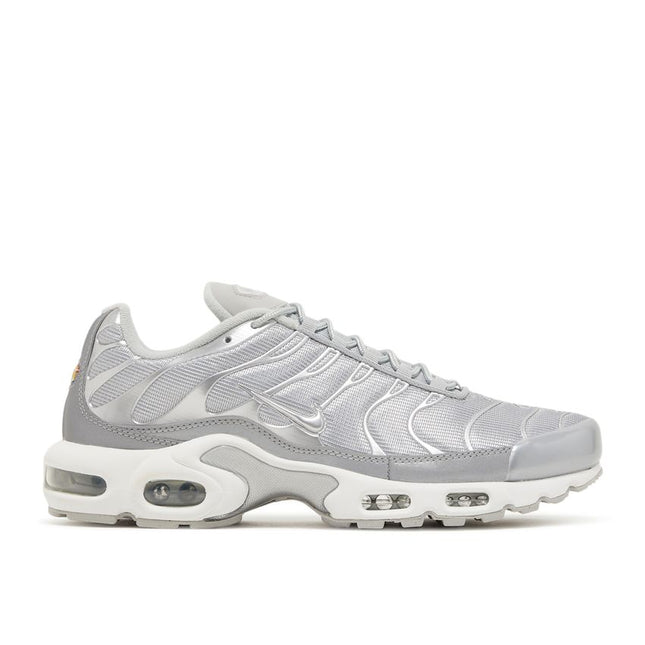 Nike Air Max Plus Plata Metálico