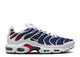 Nike Air Max Plus PSG