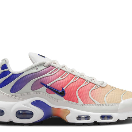 Nike Air Max Plus Plata claro