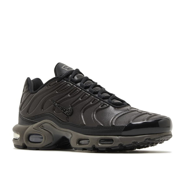 Nike Air Max Plus Premium Paris