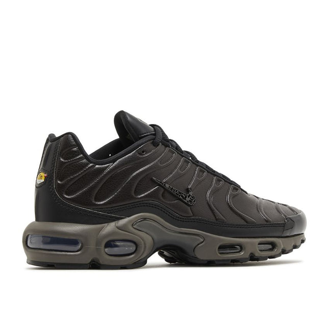 Nike Air Max Plus Premium Paris