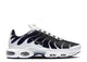Nike Air Max Plus White Black Metallic Pewter