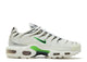 Nike Air Max Plus White Neon Metallic Silver