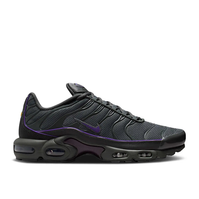 Nike Air Max Plus OG Iron Grey Wild Grape