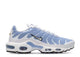 Nike Air Max Plus White Aluminum Metallic Silver