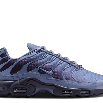 Nike Air Max Plus World Indigo