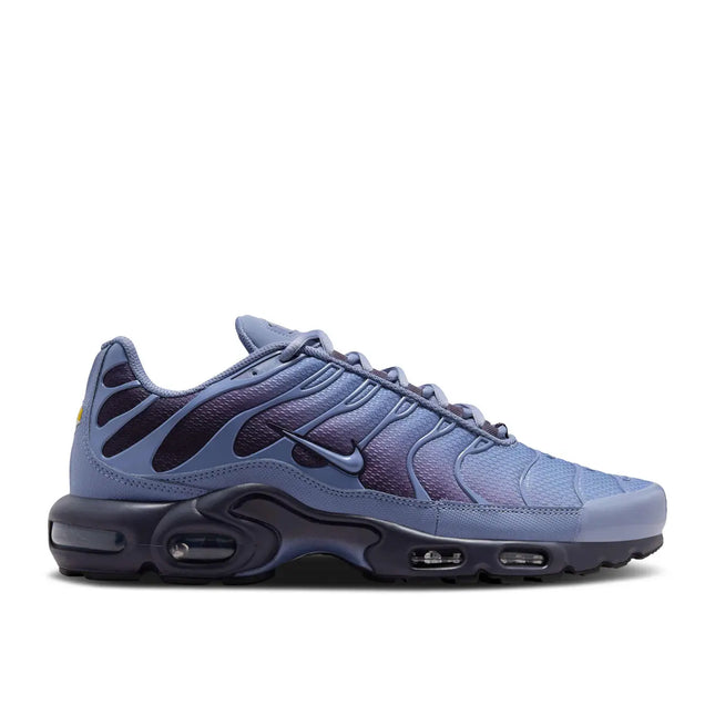 Nike Air Max Plus World Indigo