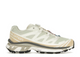 Salomon XT-6 Aloe Wash Feather Grey