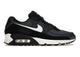 Nike Air Max 90 Iron Grey CN8490-002, vue principale