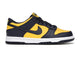Nike Dunk Low Michigan CW1590-700, vue principale