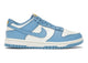 Nike Dunk Low Coast DD1503-100, vue principale