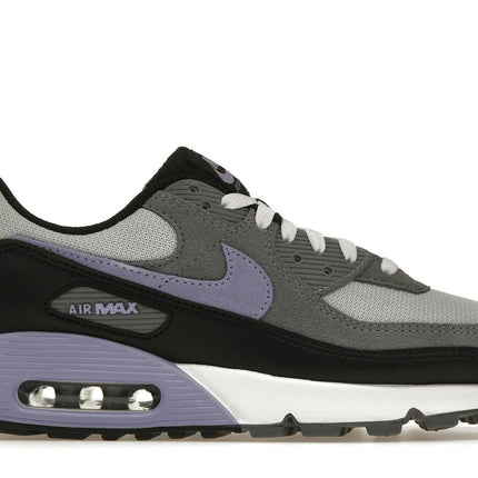 Nike Air Max 90 Photon Dust Light Thistle DM0029-014, vue principale
