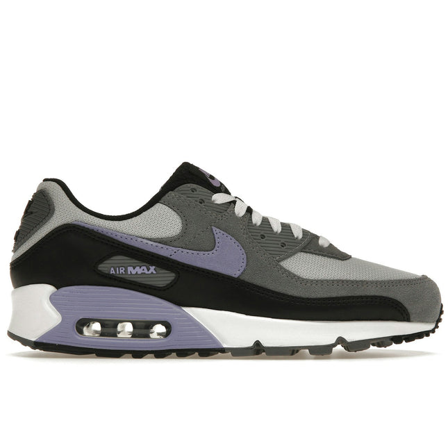 Nike Air Max 90 Photon Dust Light Thistle DM0029-014, vue principale