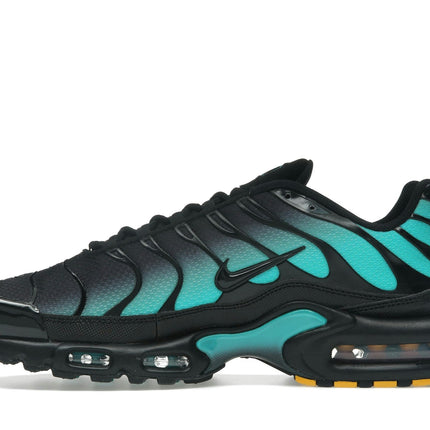 Nike Air Max Plus Black Dusty Cactus DM0032-016, profil intérieur