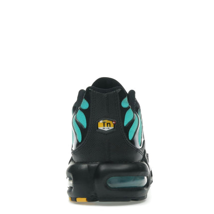 Nike Air Max Plus Black Dusty Cactus DM0032-016, arrière