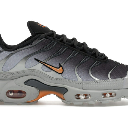 Nike Air Max Plus Light Smoke Grey Hot Curry DM0032-037, vue principale