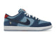 Nike SB Dunk Low Pro Why So Sad? DX5549-400, vue principale