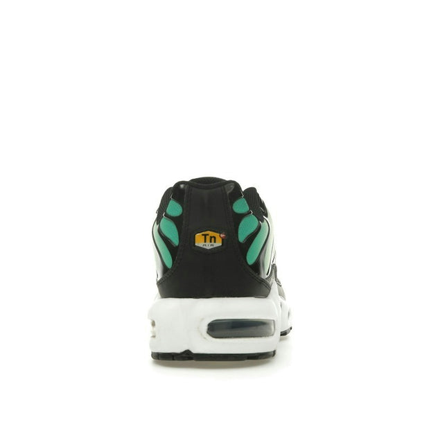 Nike Air Max Plus Rainbow DZ3670-001, arrière