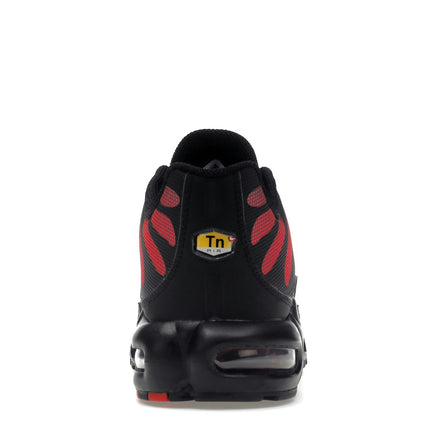 Nike Air Max Plus Bred Reflective DZ4507-600, arrière