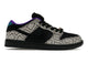 Nike SB Dunk Low Dashawn Jordan Copperhead IB6208-200, vue principale