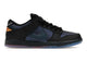 Nike SB Dunk Low Pro Bluetile Skateboards IQ1323-001, vue principale