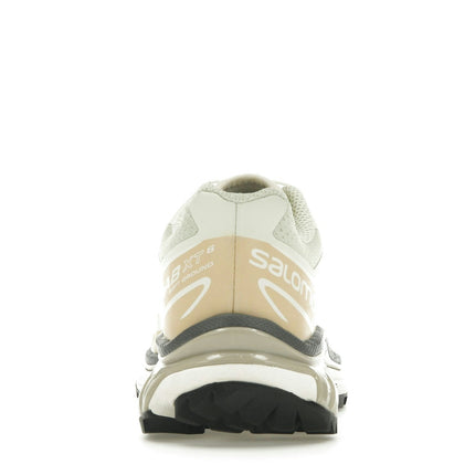 Salomon XT-6 Aloe Wash Feather Grey L47293700, arrière