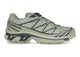 Salomon XT-6 Gore-Tex Tea Peat L47863800, vue principale