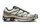 Salomon XT-6 Vanilla Ice Black Silver Cloud L49211300, vue principale