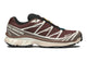 Salomon XT-6 Gore-Tex Bitter Chocolate Iron Vanilla Ice L49215200, vue principale