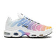 Nike Air Max Plus Summer Gradient - Coproom