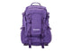 Supreme Logo Backpack (SS26) Purple SX-SUPREME-SUPREME-BACKPACK-SS26-PURPLE, vue principale
